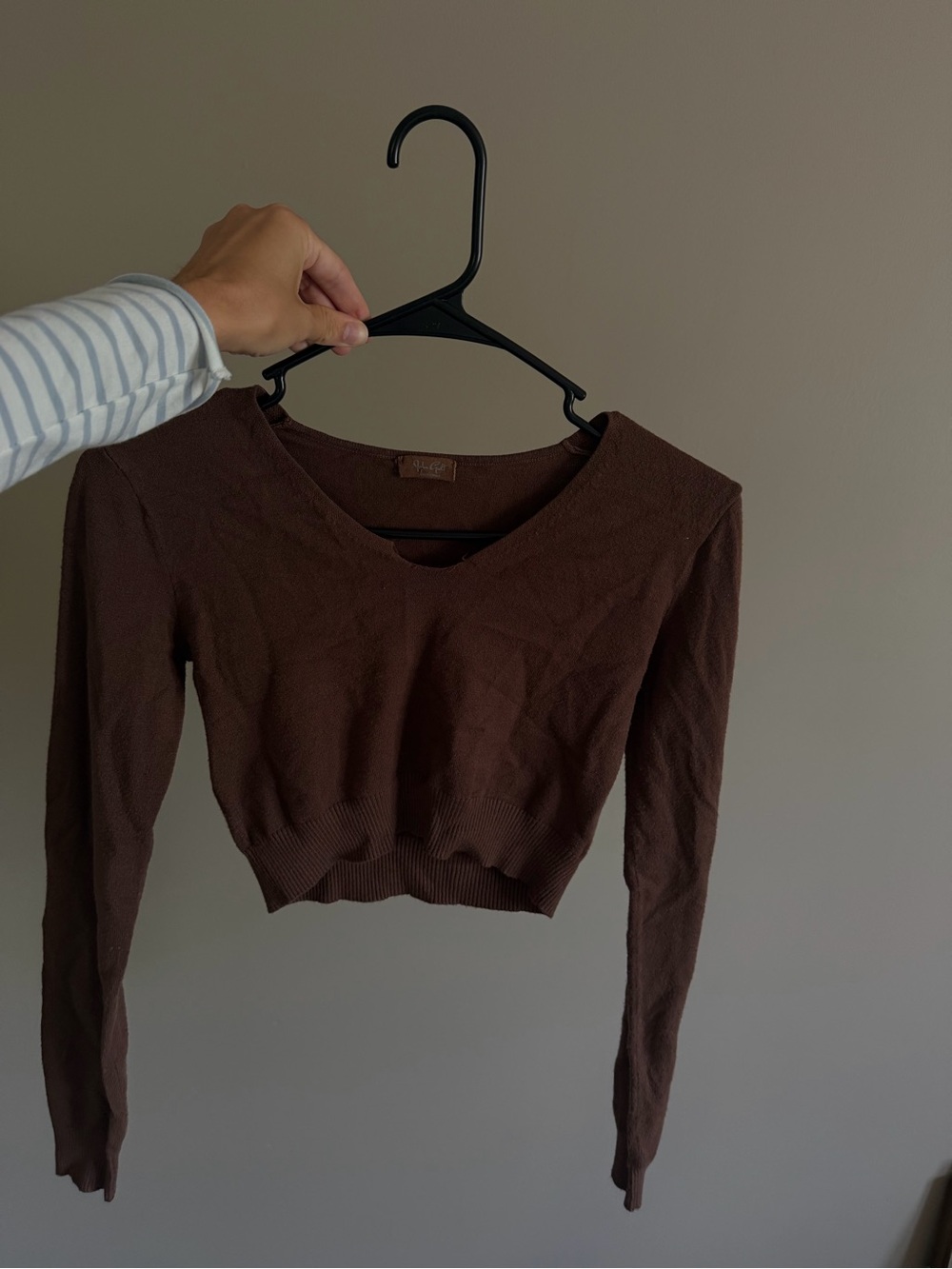Brandy Melville Brown Cropped V-Neck Long Sleeve Top